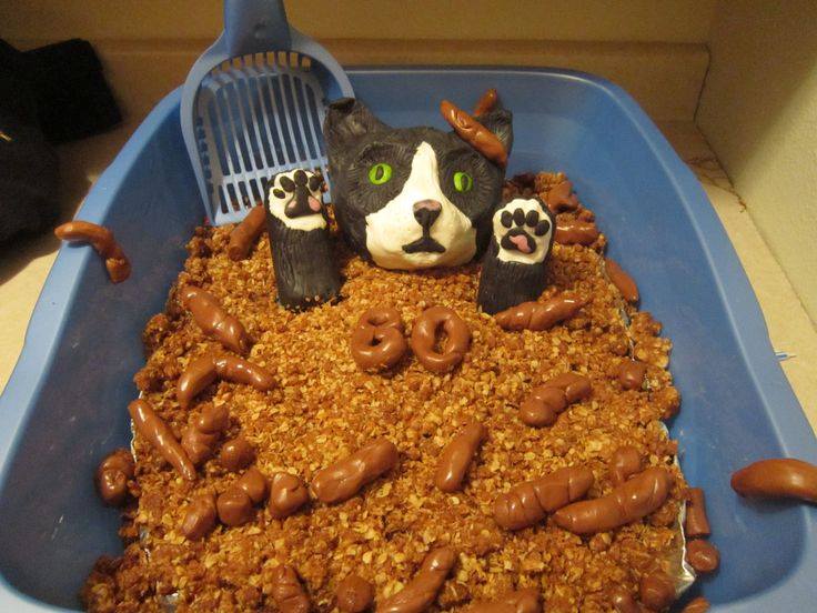 Cat Box